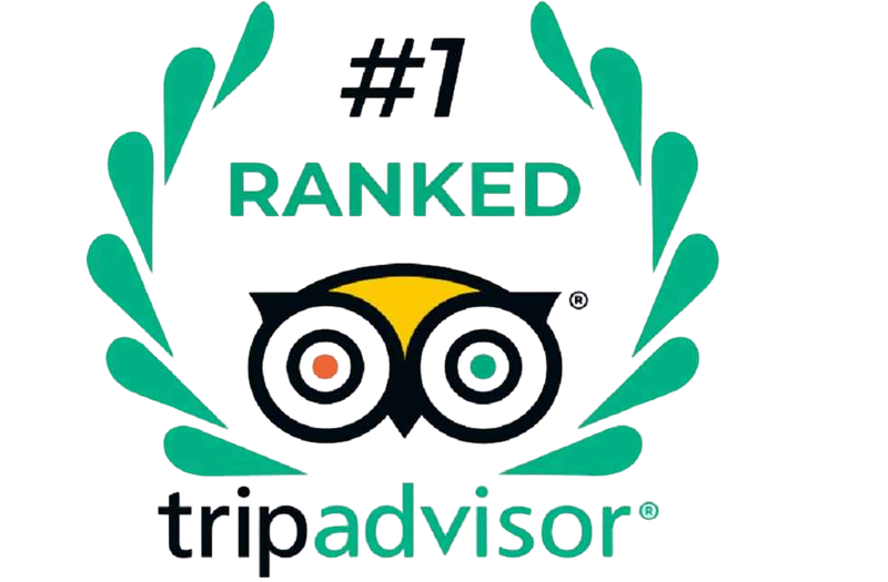 Tripadvisor #1 Ranked badge from the original Living Dreams page